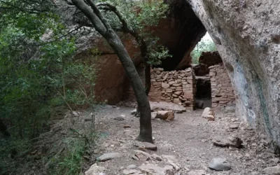 🙏 HOSPITAL CARLÍ DE SANG – AVENTURES PER SANT LLORENÇ DEL MUNT – S. Conscient.