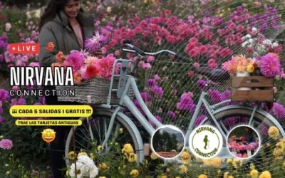 🙏 TULIPMANIA – VINE A VIURE UNA EXPERIÈNCIA ÚNICA