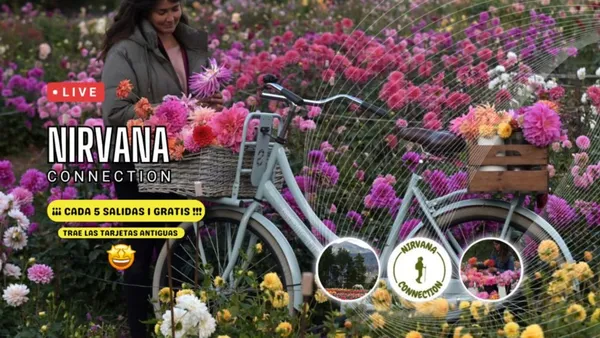 TULIPMANIA - VINE A VIURE UNA EXPERIÈNCIA ÚNICA