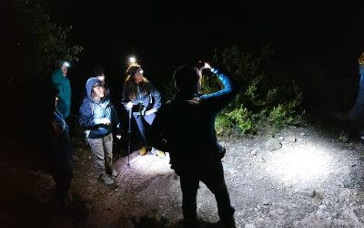📚 SENDERISMO NOCTURNO: UNA EXPERIENCIA MÁGICA