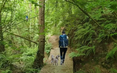 🙏 RIELLS DEL MONTSENY – FÁCIL Y SUPER BONITA