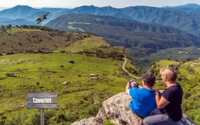 🙏 SENDERISMO EN TAVERTET – PUIG DE LA FORÇA – FÀCIL