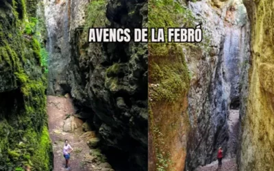 🙏 AVENCS DE LA FEBRÓ – LA MUSSARA