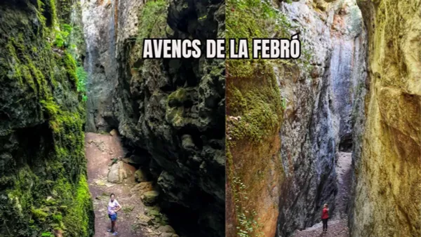 AVENCS DE LA FEBRÓ - LA MUSSARA