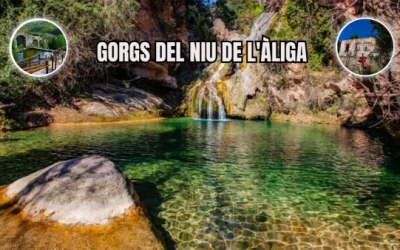 🙏 GORGS DEL NIU DE L’ÀLIGA