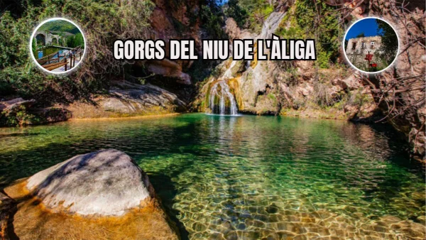 GORGS DEL NIU DE L'ÀLIGA