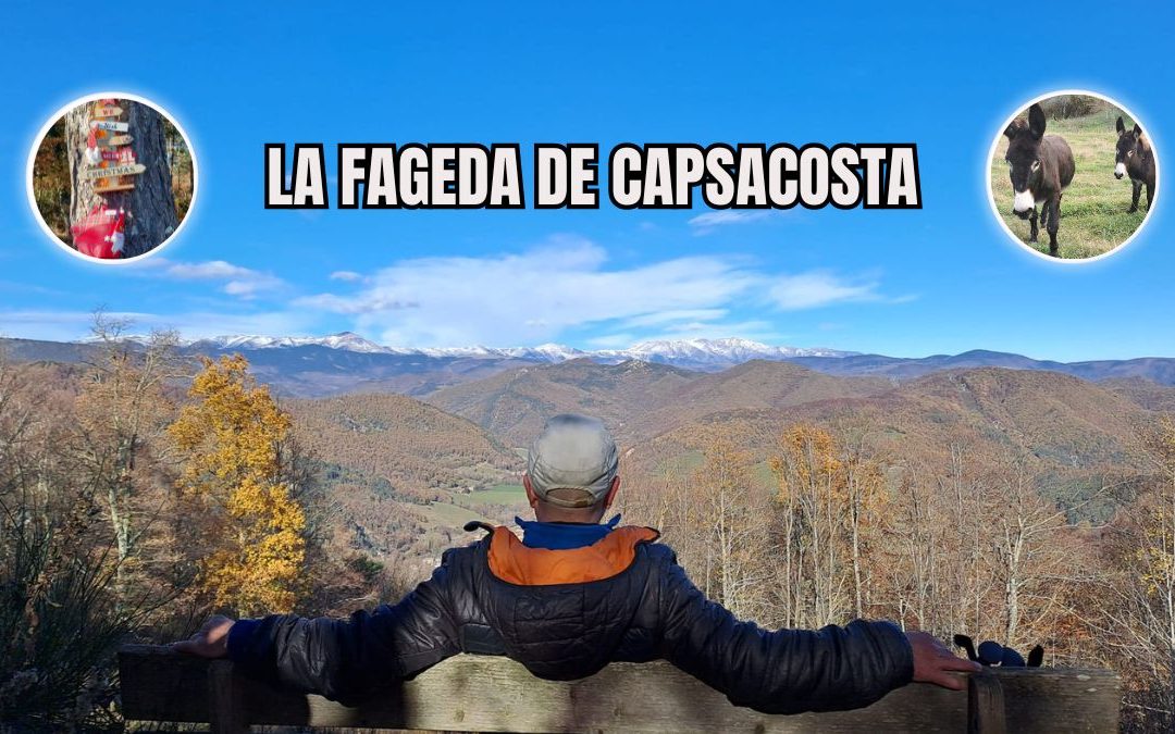 LA FAGEDA DE CAPSACOSTA