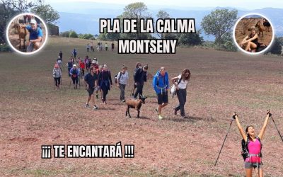 🙏 PLA DE LA CALMA – MONTSENY