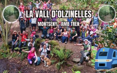 🙏 LA VALL D’OLZINELLES