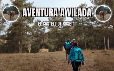 🙏 VILADA EXPERIENCE