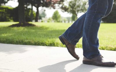 📚 CONECTA CON LA NATURALEZA: SENDERISMO CONSCIENTE