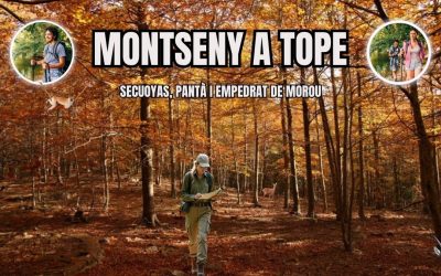 🙏 MONTSENY A TOPE