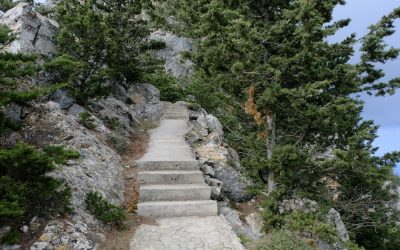 📚 SENDERISMO CONSCIENTE: TRANSFORMANDO CADA RUTA EN UNA EXPERIENCIA ÚNICA