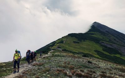 📚 REDESCUBRE LA NATURALEZA: SENDERISMO CONSCIENTE EN LAS MONTAÑAS