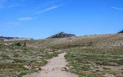 📚 APROVECHA LOS BENEFICIOS DEL SENDERISMO CONSCIENTE EN LA NATURALEZA