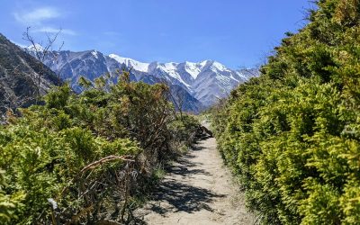 📚 DESCUBRE EL SENDERISMO CONSCIENTE: UNA RUTA HACIA LA NATURALEZA