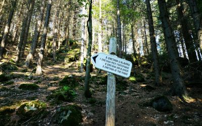 📚 DESCUBRE EL SENDERISMO CONSCIENTE: UNA RUTA HACIA LA NATURALEZA