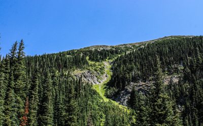 📚 DISFRUTA DEL SENDERISMO CONSCIENTE: UNA EXPERIENCIA TRANSFORMADORA EN LA MONTAÑA