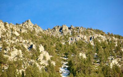 📚 DESCUBRE EL SENDERISMO CONSCIENTE: UNA RUTA HACIA LA NATURALEZA