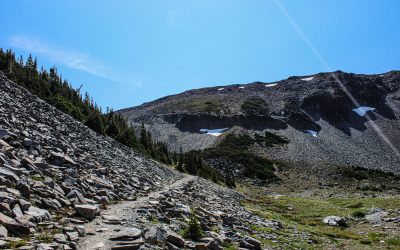 📚 CONÉCTATE CON LA NATURALEZA: SENDERISMO CONSCIENTE EN LA MONTAÑA