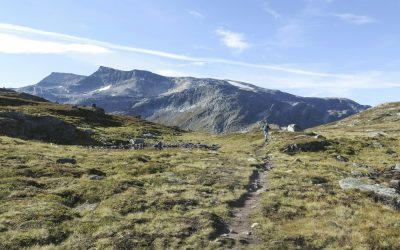 📚 SENDERISMO CONSCIENTE: UNA INVITACIÓN A LA NATURALEZA