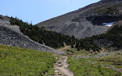 📚 DESCUBRE LOS BENEFICIOS DEL SENDERISMO CONSCIENTE EN LA MONTAÑA
