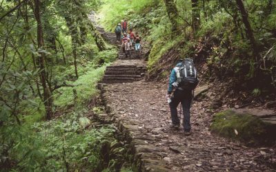 📚 GUÍA PRÁCTICA DE SENDERISMO CONSCIENTE: CONEXIÓN CON LA NATURALEZA