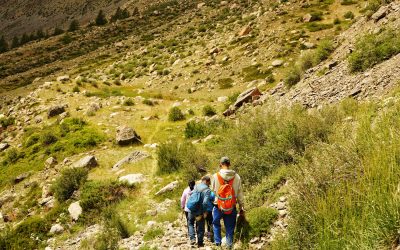📚 BENEFICIOS DEL SENDERISMO CONSCIENTE PARA TU SALUD MENTAL