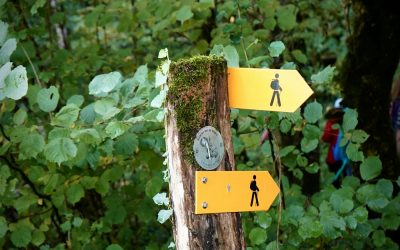 📚 GUÍA COMPLETA DE SENDERISMO CONSCIENTE PARA PRINCIPIANTES