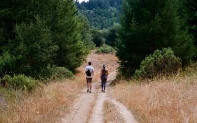 📚 GUÍA COMPLETA DE SENDERISMO CONSCIENTE PARA PRINCIPIANTES
