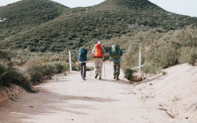 📚 GUÍA PRÁCTICA DE SENDERISMO CONSCIENTE: CONECTA CON LA NATURALEZA