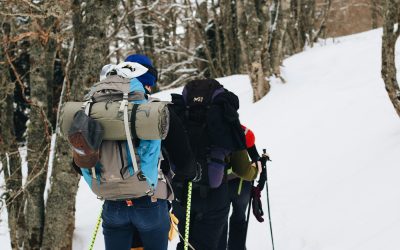 📚 GUÍA PRÁCTICA DE SENDERISMO CONSCIENTE PARA CONECTAR CON LA NATURALEZA