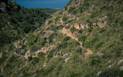 📚 GUÍA COMPLETA DEL SENDERISMO CONSCIENTE: CONEXIÓN Y BIENESTAR EN LA NATURALEZA