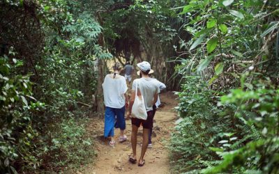 📚 GUÍA PRÁCTICA PARA EL SENDERISMO CONSCIENTE: CONEXIÓN CON LA NATURALEZA