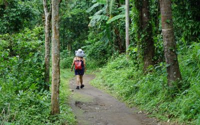 📚 GUÍA COMPLETA DE SENDERISMO CONSCIENTE: CONEXIÓN CON LA NATURALEZA