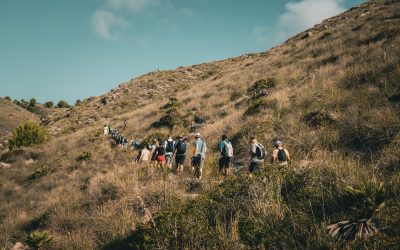 📚 GUÍA COMPLETA DE SENDERISMO CONSCIENTE PARA EL BIENESTAR EN LA NATURALEZA