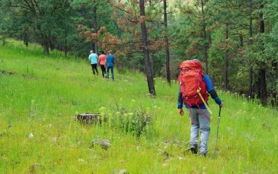📚 GUÍA PRÁCTICA DE SENDERISMO CONSCIENTE PARA RECONEXIÓN CON LA NATURALEZA